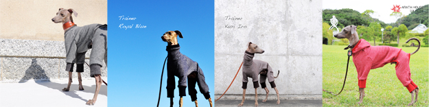 犬服デザイン説明書「カラー｜服タイプ｜袖デザイン｜ネックデザイン｜裏地｜リード穴」