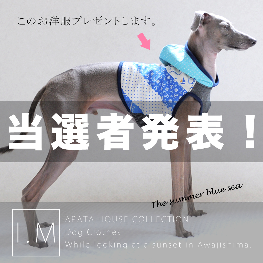 「プレゼント企画」ARATA HOUSEがamazonに出店！ それを記念して撮影時にモデルのBuono!が5分間着用したお洋服をプレゼント♡