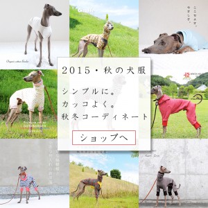 「2015・秋の犬服」シンプルにカッコよく秋冬コーディネート「新作&定番の15アイテム」