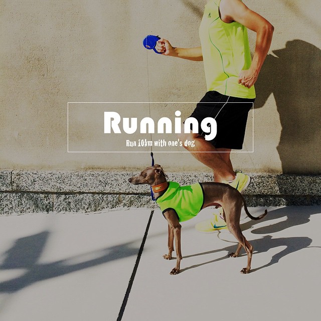 「わぁ〜綺麗♡」「来て来てこっちの方がもっと綺麗に撮れるよ♡」淡路島の夕暮れ時に散歩していると聞こえてくる言葉