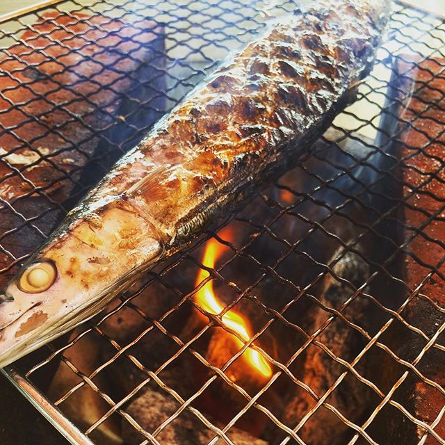 新作の犬服を撮影する日は、私達もBuono!も嬉しい日。