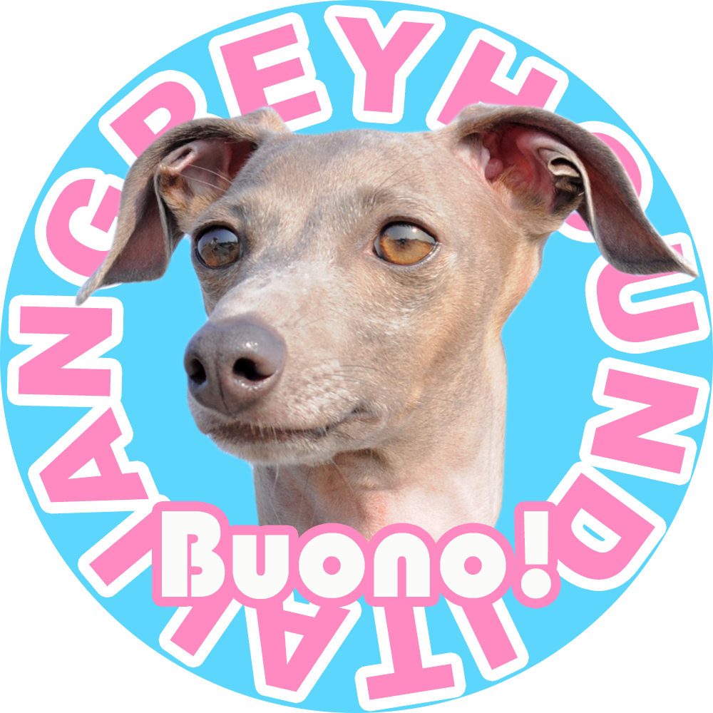 「インスタ」のプロフィール写真を「夏仕様」にチェンジ!