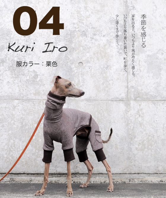 新作の犬服を撮影する日は、私達もBuono!も嬉しい日。