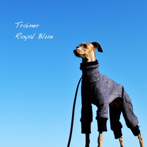 「2015・秋の犬服」シンプルにカッコよく秋冬コーディネート「新作&定番の15アイテム」