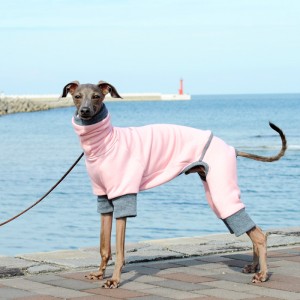 「2015・秋の犬服」シンプルにカッコよく秋冬コーディネート「新作&定番の15アイテム」