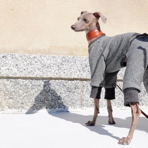 「2015・秋の犬服」シンプルにカッコよく秋冬コーディネート「新作&定番の15アイテム」