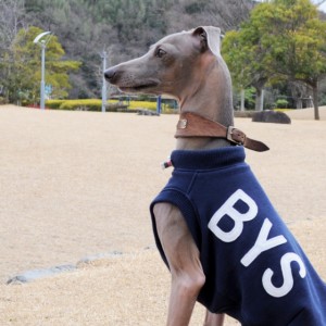 「2015・秋の犬服」シンプルにカッコよく秋冬コーディネート「新作&定番の15アイテム」