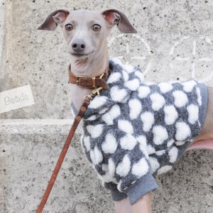 「2015・秋の犬服」シンプルにカッコよく秋冬コーディネート「新作&定番の15アイテム」