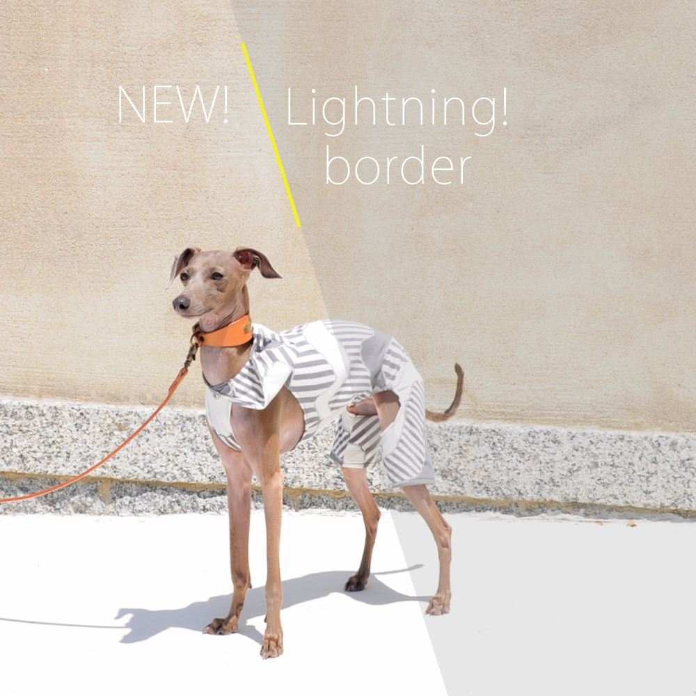 夏の恋は “儚い花火” のよう散る。ARATA HOUSEの「夏犬服」16デザインをオススメのシチュエーションと共にご紹介