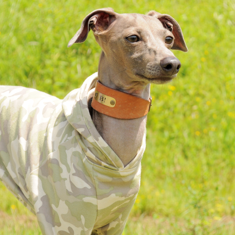 夏の恋は “儚い花火” のよう散る。ARATA HOUSEの「夏犬服」16デザインをオススメのシチュエーションと共にご紹介