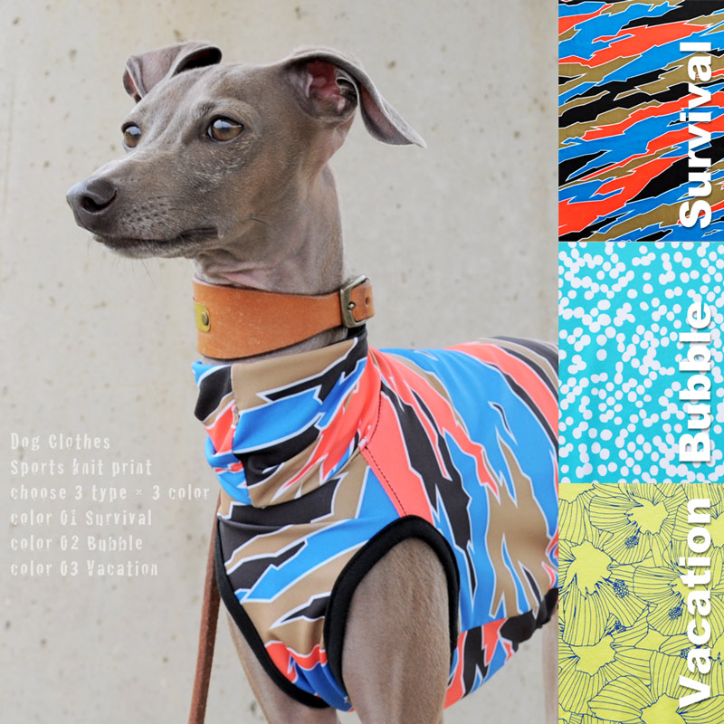 夏の恋は “儚い花火” のよう散る。ARATA HOUSEの「夏犬服」16デザインをオススメのシチュエーションと共にご紹介