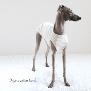 「2015・秋の犬服」シンプルにカッコよく秋冬コーディネート「新作&定番の15アイテム」