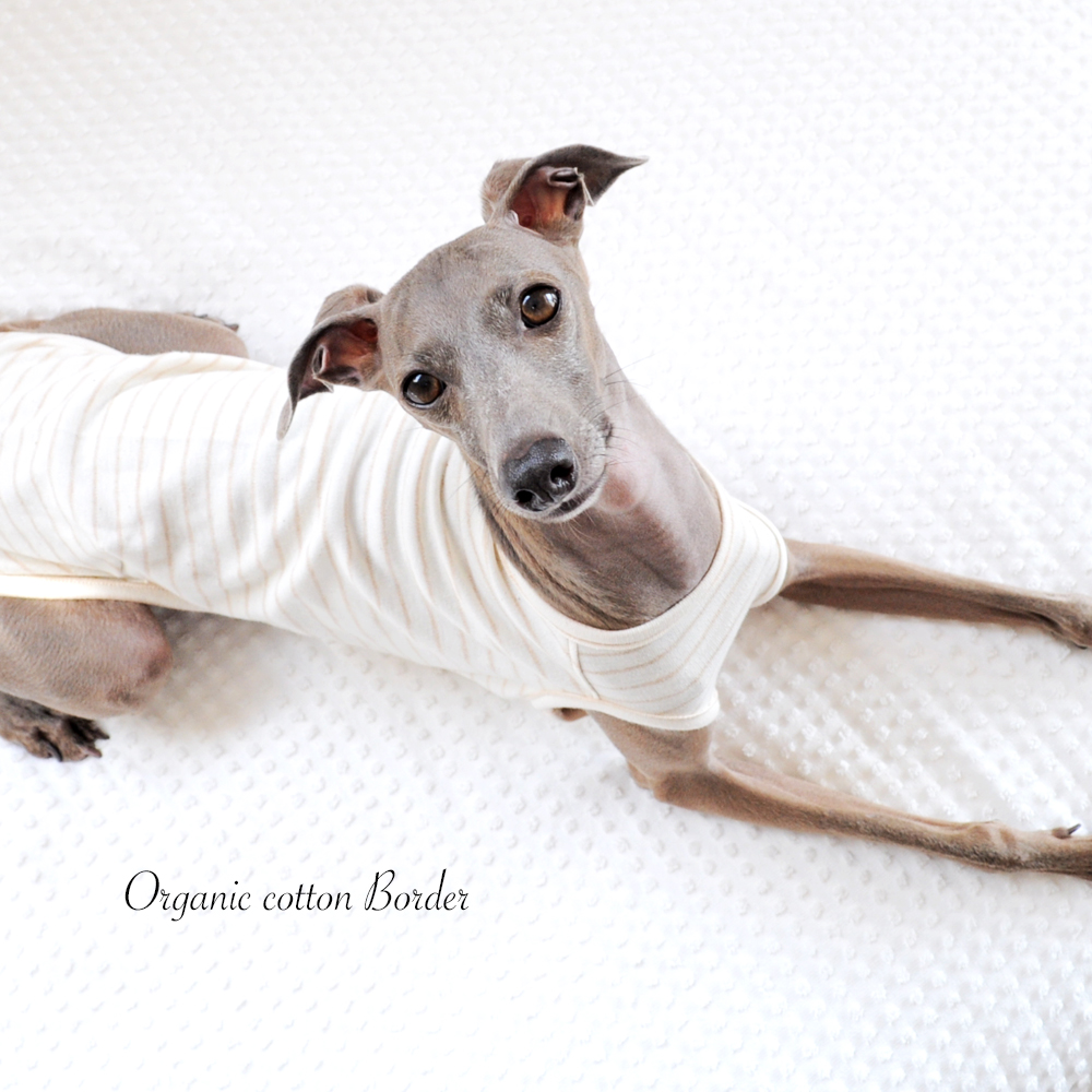 夏の恋は “儚い花火” のよう散る。ARATA HOUSEの「夏犬服」16デザインをオススメのシチュエーションと共にご紹介