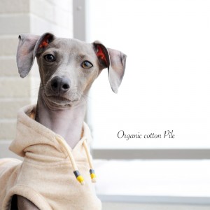 「2015・秋の犬服」シンプルにカッコよく秋冬コーディネート「新作&定番の15アイテム」