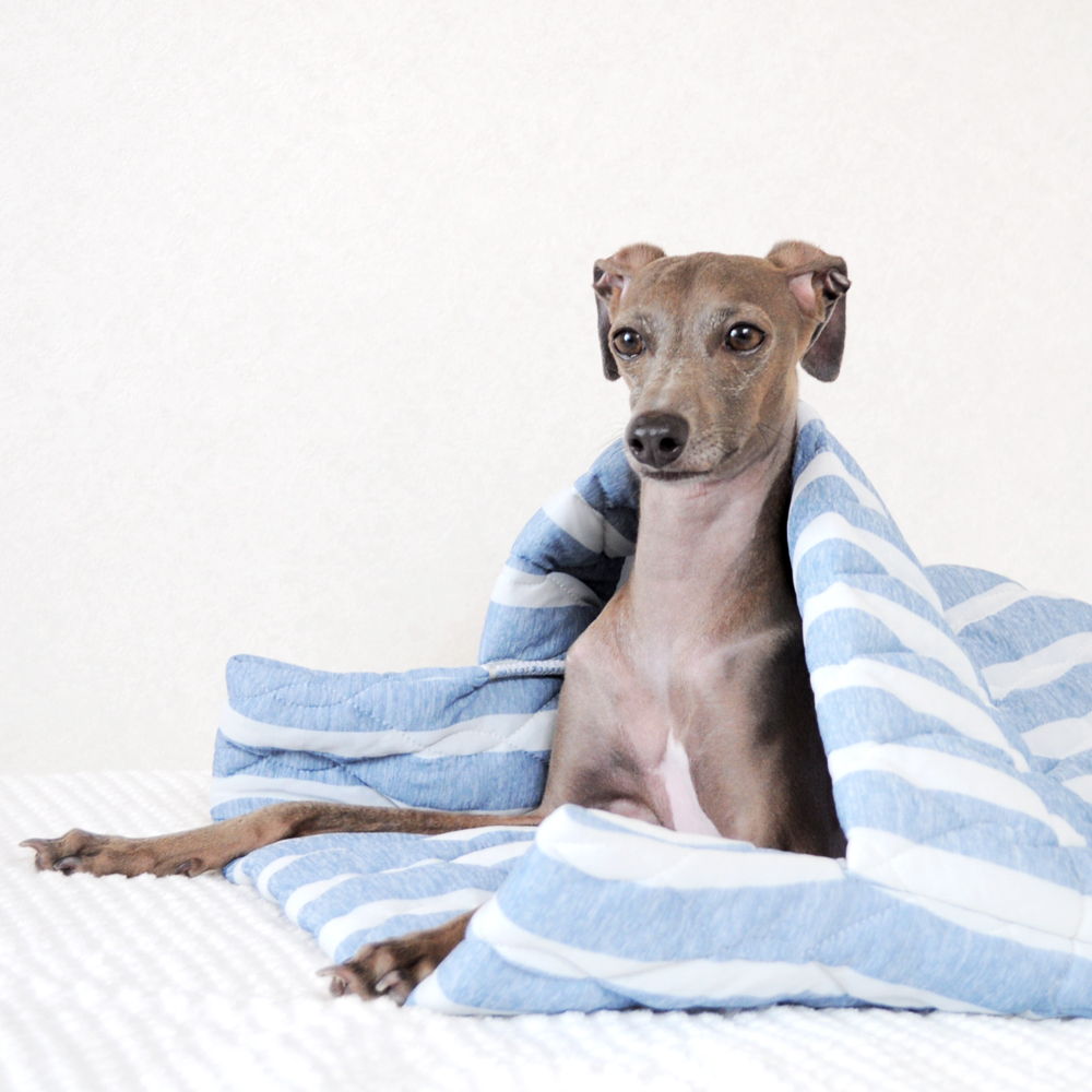 暑い夏を「ひんやり」快適に過すアイテム！マーベラスクール寝袋＆カフェマットに新色登場！