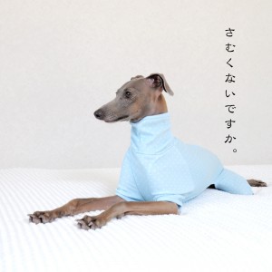 「2015・秋の犬服」シンプルにカッコよく秋冬コーディネート「新作&定番の15アイテム」