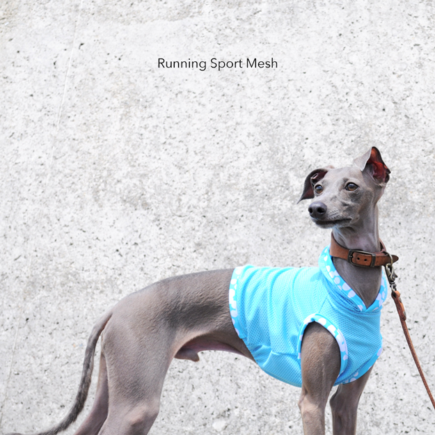 夏の恋は “儚い花火” のよう散る。ARATA HOUSEの「夏犬服」16デザインをオススメのシチュエーションと共にご紹介