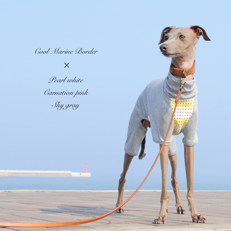 ちょっぴり大人な秋コーデ「犬服/イタグレ」先週の人気ベスト3｜8/24（土）ー8/30（日）