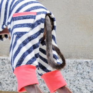 「2015・秋の犬服」シンプルにカッコよく秋冬コーディネート「新作&定番の15アイテム」