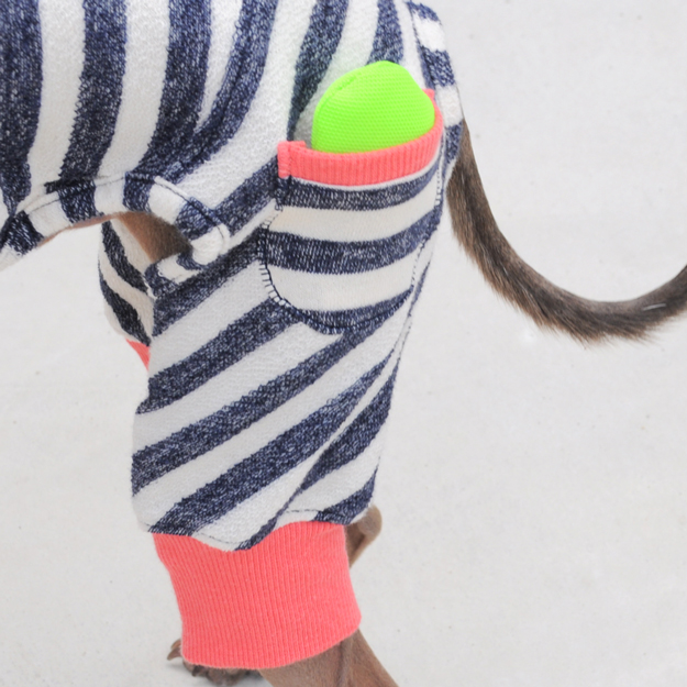 「秋の新作犬服」柔らかな縞模様と小さな物入れのお洋服|「小さな物入れに、なに入れようかなぁ〜♪」