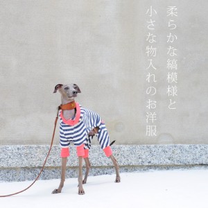 「2015・秋の犬服」シンプルにカッコよく秋冬コーディネート「新作&定番の15アイテム」