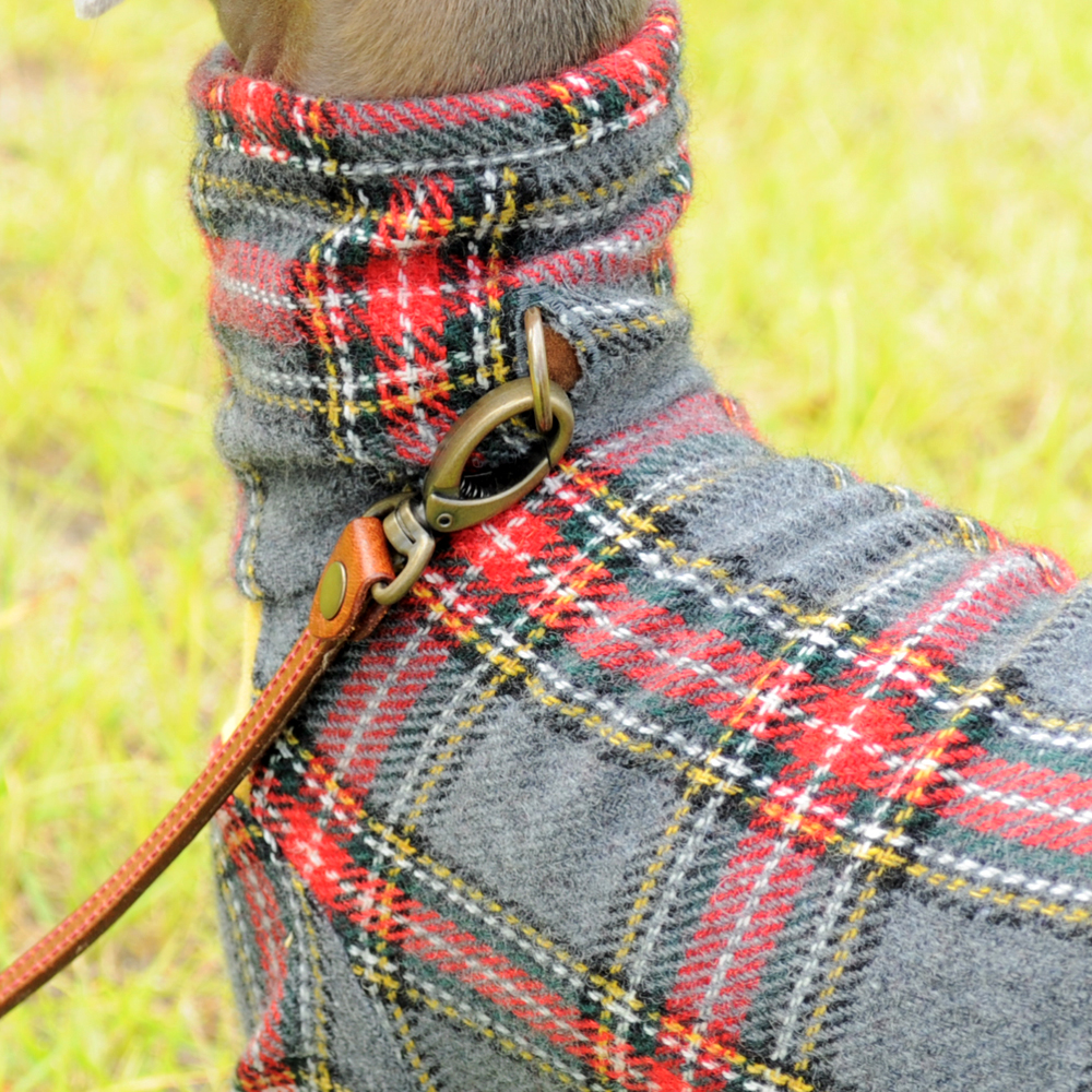 秋の新作「イタグレ服」秋のそよ風を感じながら「タータンチェック」の「およぷく」で公園を散歩する