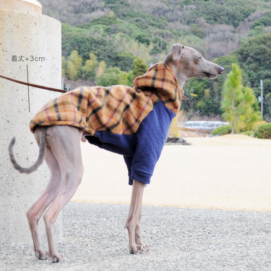 「秋服」スタイリッシュな犬が「ふわっと!」着こなすと可愛い「ヨーロピアンテイストのツィードチェック」