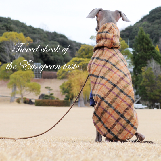 「秋服」スタイリッシュな犬が「ふわっと!」着こなすと可愛い「ヨーロピアンテイストのツィードチェック」