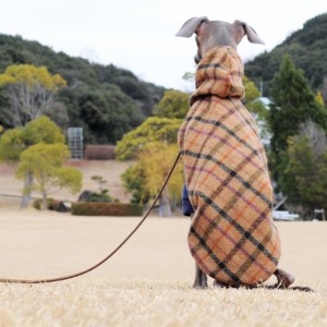 「2015・秋の犬服」シンプルにカッコよく秋冬コーディネート「新作&定番の15アイテム」