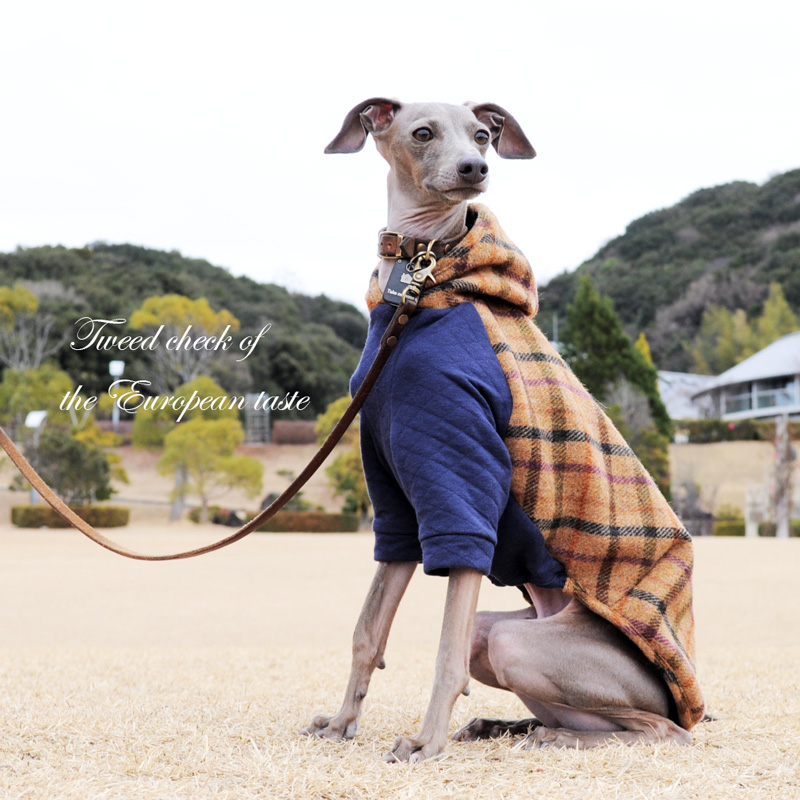 「2015・秋の犬服」シンプルにカッコよく秋冬コーディネート「新作&定番の15アイテム」