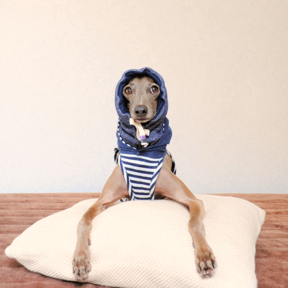 イタグレBuono!のスヌードの使い方