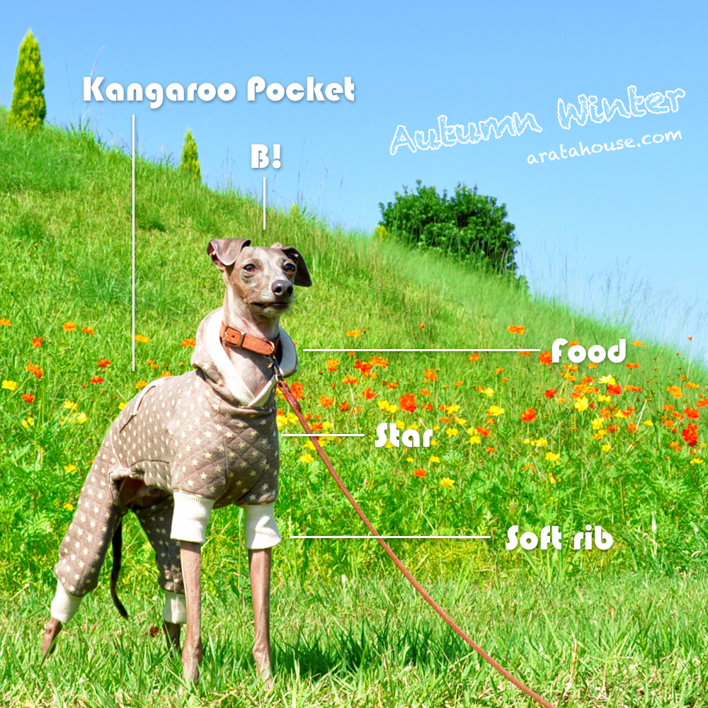 可愛いカンガルーポケット付きの「新作犬服」が出来たけど・・販売は延期。。それでもBuono!は嬉しそう♪