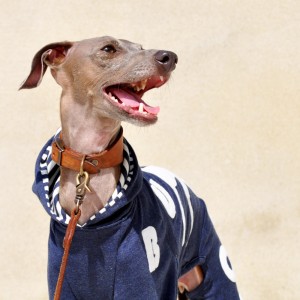 41日にかかって遂に完成「犬服」My dog silhouette. The dog's name is...「世界に1つだけの洋服」|ロンパース(ボーダー裏地付き)×選べる3カラー