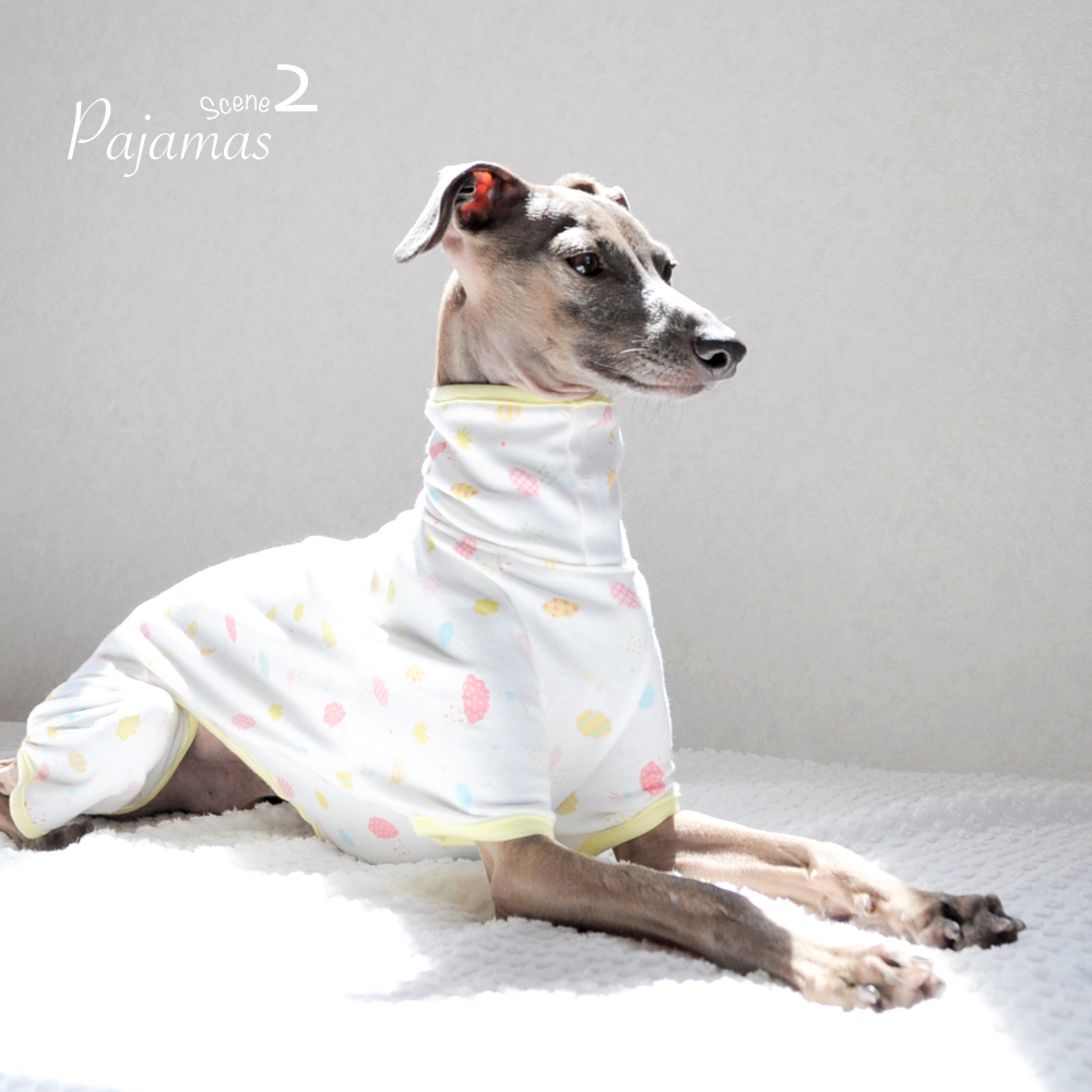 「2015.秋新作 ぱじゃま」どんな時も守ってあげたい。いつも心地よく過してほしい。そんな想いを込めて。