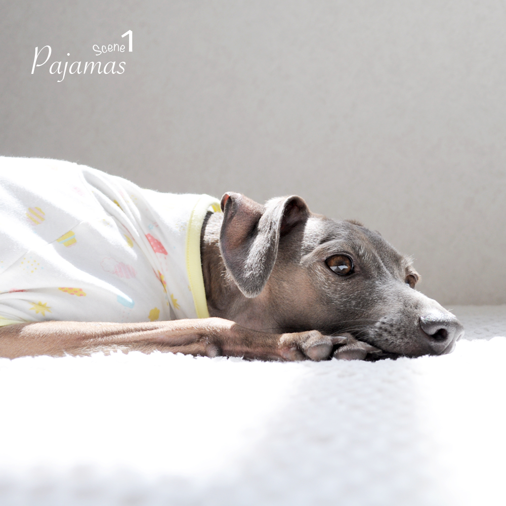 「2015.秋新作 ぱじゃま」どんな時も守ってあげたい。いつも心地よく過してほしい。そんな想いを込めて。