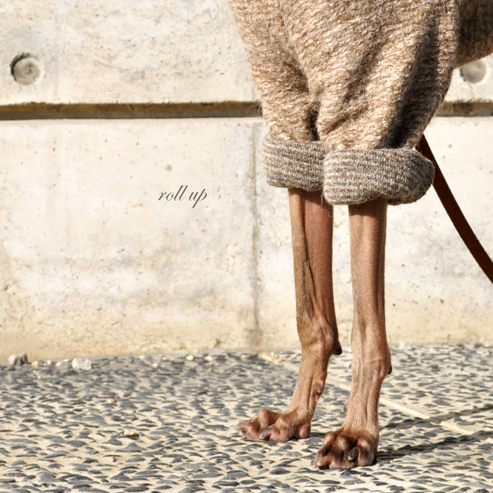 「2015イタグレ冬服」エレガントなイタリア製ニットに包まれる幸せ♡冬はもうすぐそこ！