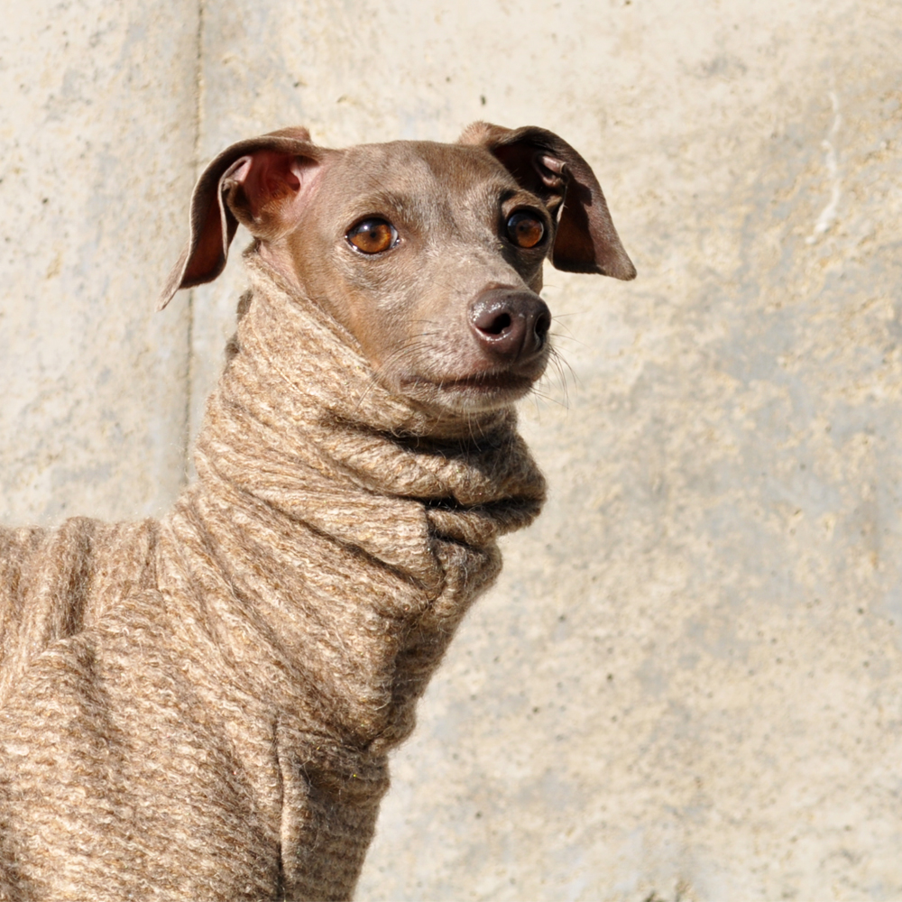 「2015イタグレ冬服」エレガントなイタリア製ニットに包まれる幸せ♡冬はもうすぐそこ！