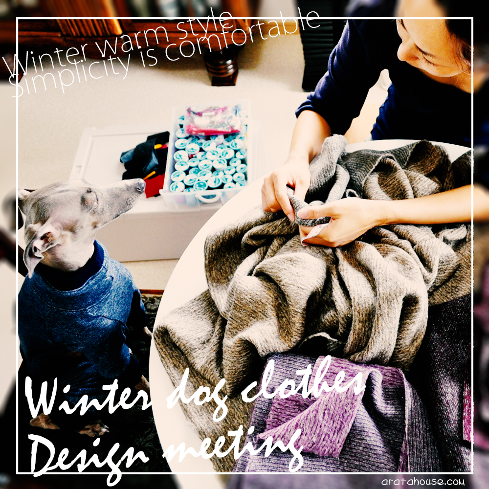 淡路島を散歩。そして、海を眺めながらビールを飲み「新作犬服」を考える