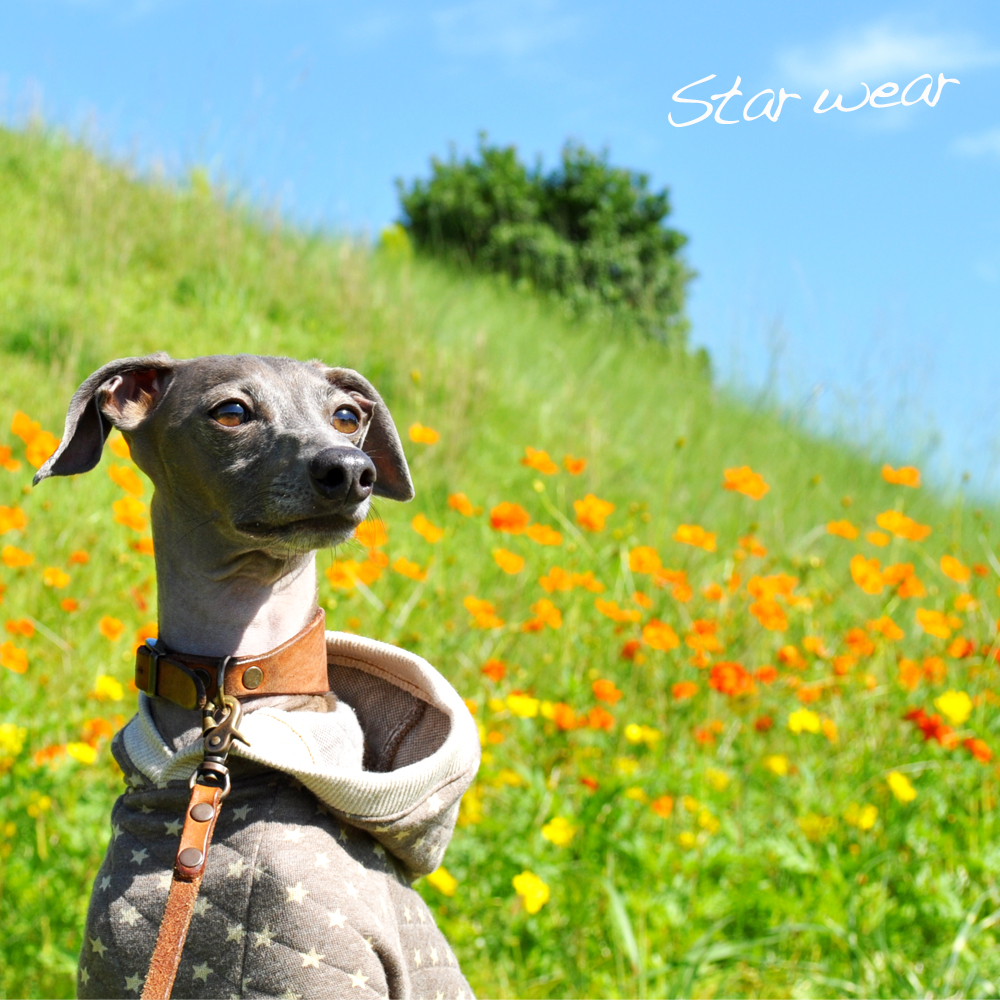 「2015イタグレ冬服」カンガルーポケットのスター☆ウエアの製作オフショット