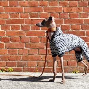 「2015冬の犬服」定番こそ‘最強’ シンプルこそ‘かわいい’「ぬくぬく♡コーデ12選」