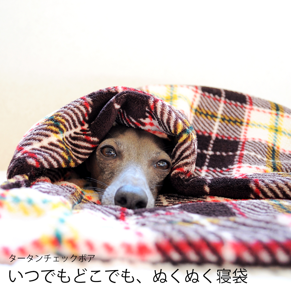 寒い冬にぴったり!「完璧すぎない犬寝袋」を一つ一つ丁寧に思いを込めて製作しています