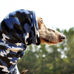 「2015 秋冬新作犬服　"Sea Camouflage"」毛布に包まれたような暖かさと、優しい肌さわりのボンバーヒートニット