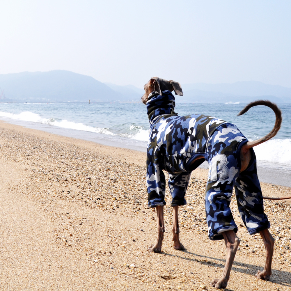 「2015 秋冬新作犬服　"Sea Camouflage" 」毛布に包まれたような暖かさと、優しい肌さわりのボンバーヒートニット
