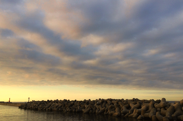 夕暮れの淡路島を歩く。漁港にカモメが飛び、愛犬と過す時間。