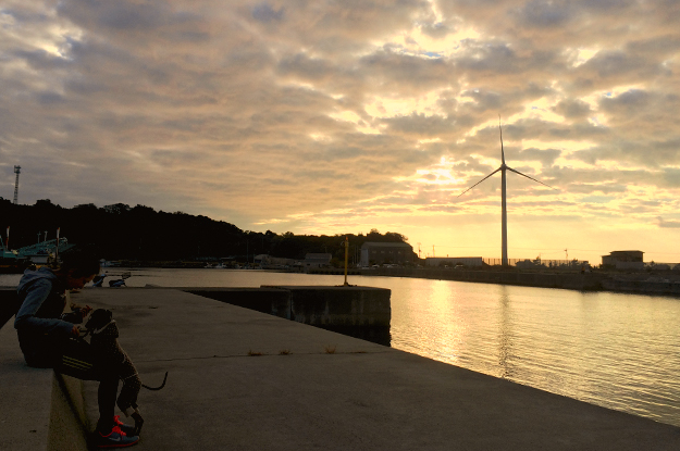 夕暮れの淡路島を歩く。漁港にカモメが飛び、愛犬と過す時間。