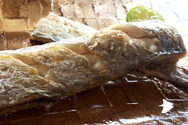 俺の価値は愛犬よりも小さい。今の時代「パソコンが出来て普通」プラスα「漁が出来て価値がある」