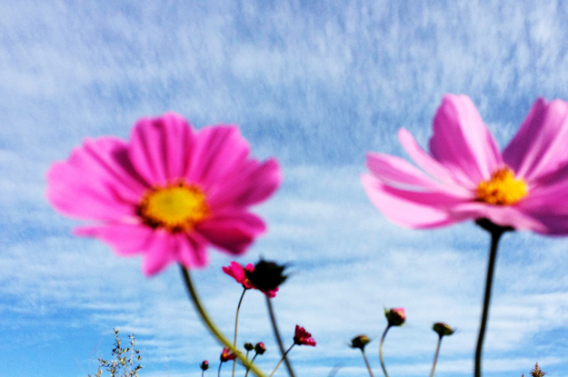 11月1日に感じたこと。「妄想しよう」