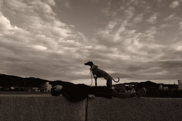 夕暮れの淡路島を歩く。漁港にカモメが飛び、愛犬と過す時間。