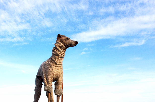 11月1日に感じたこと。「妄想しよう」