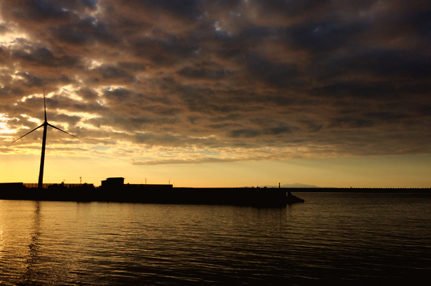 夕暮れの淡路島を歩く。漁港にカモメが飛び、愛犬と過す時間。